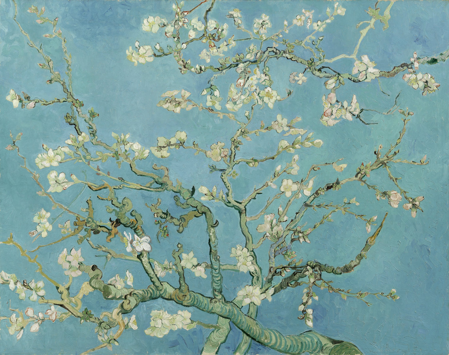 Almond Blossoms by Vincent van Gogh