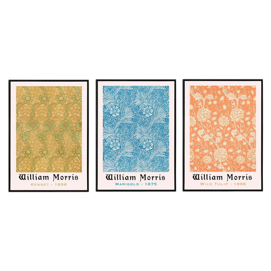 William Morris (Set Of 3) - WIILD TUILP (1896), MARIGOLD (1875), KENNET (1896)