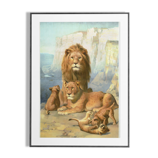 Lions with Their Cubs (1896) Chromolithograph